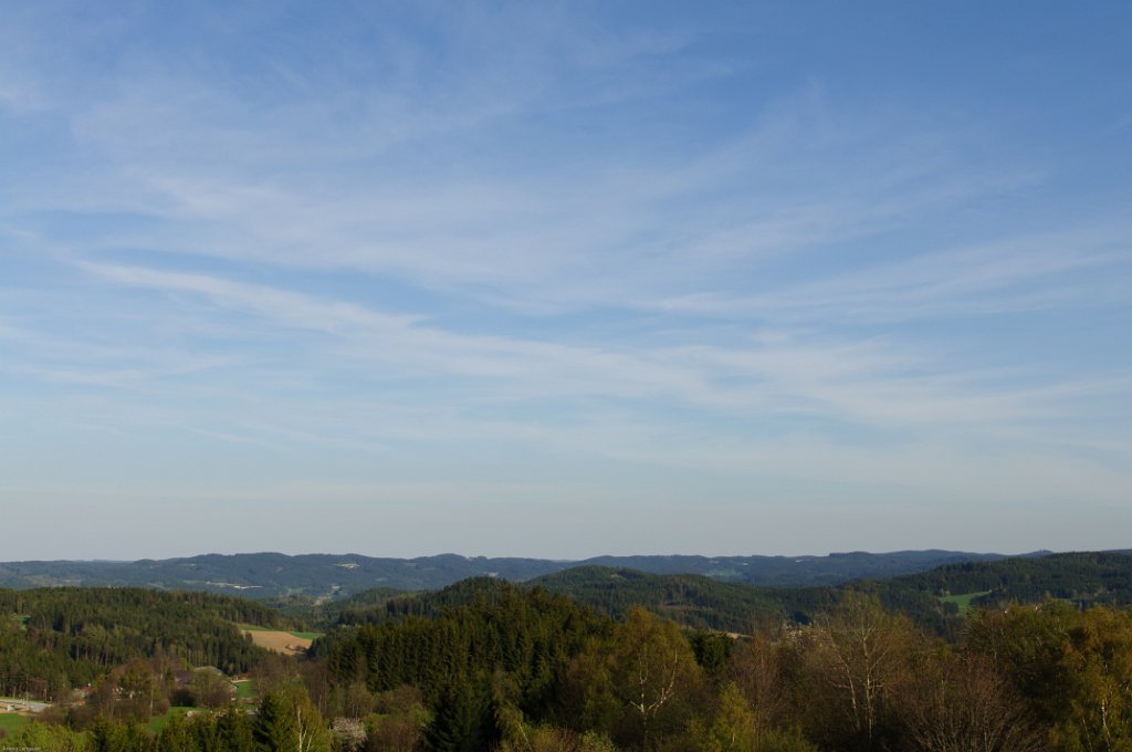 DSC_0148.jpg