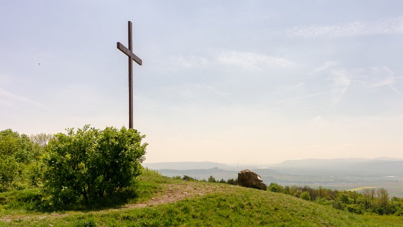 _DSC6403.jpg - Gifpelkreuz am Waschberg