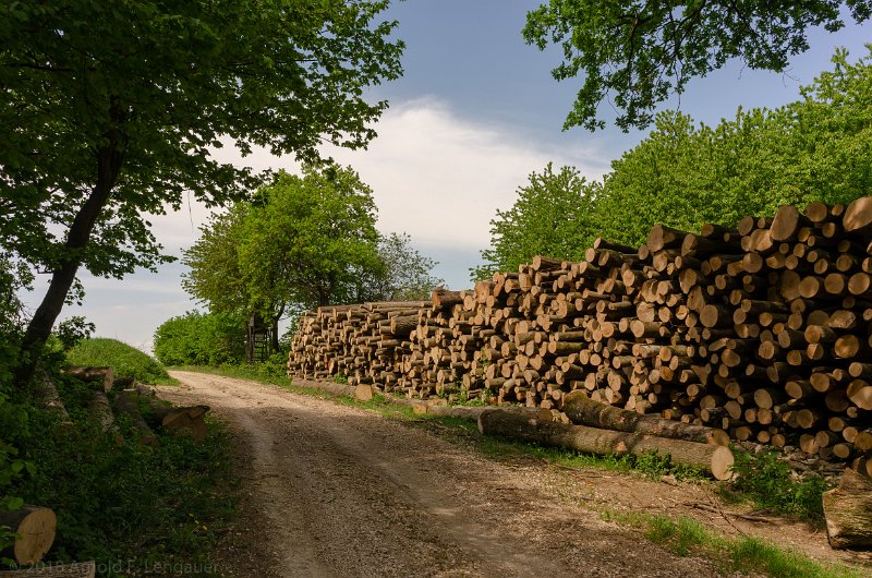 _DSC6425.jpg - Weg ins Tal ...