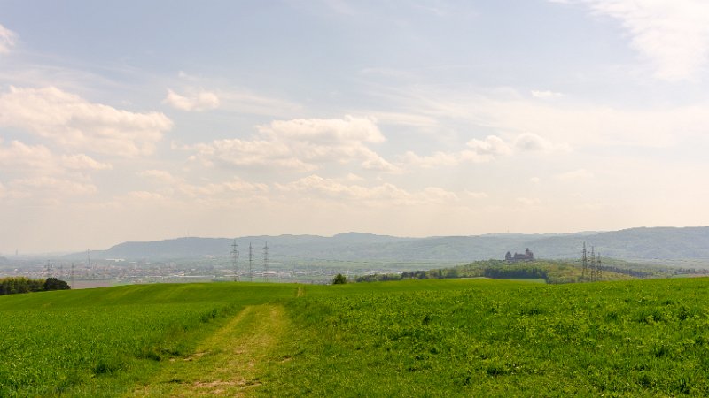 _DSC6432.jpg - Blick vom Toblerberg zur Burg Kreuzenstein