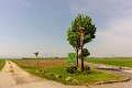 _DSC6385