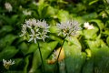 _DSC6408