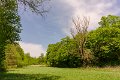 _DSC6427